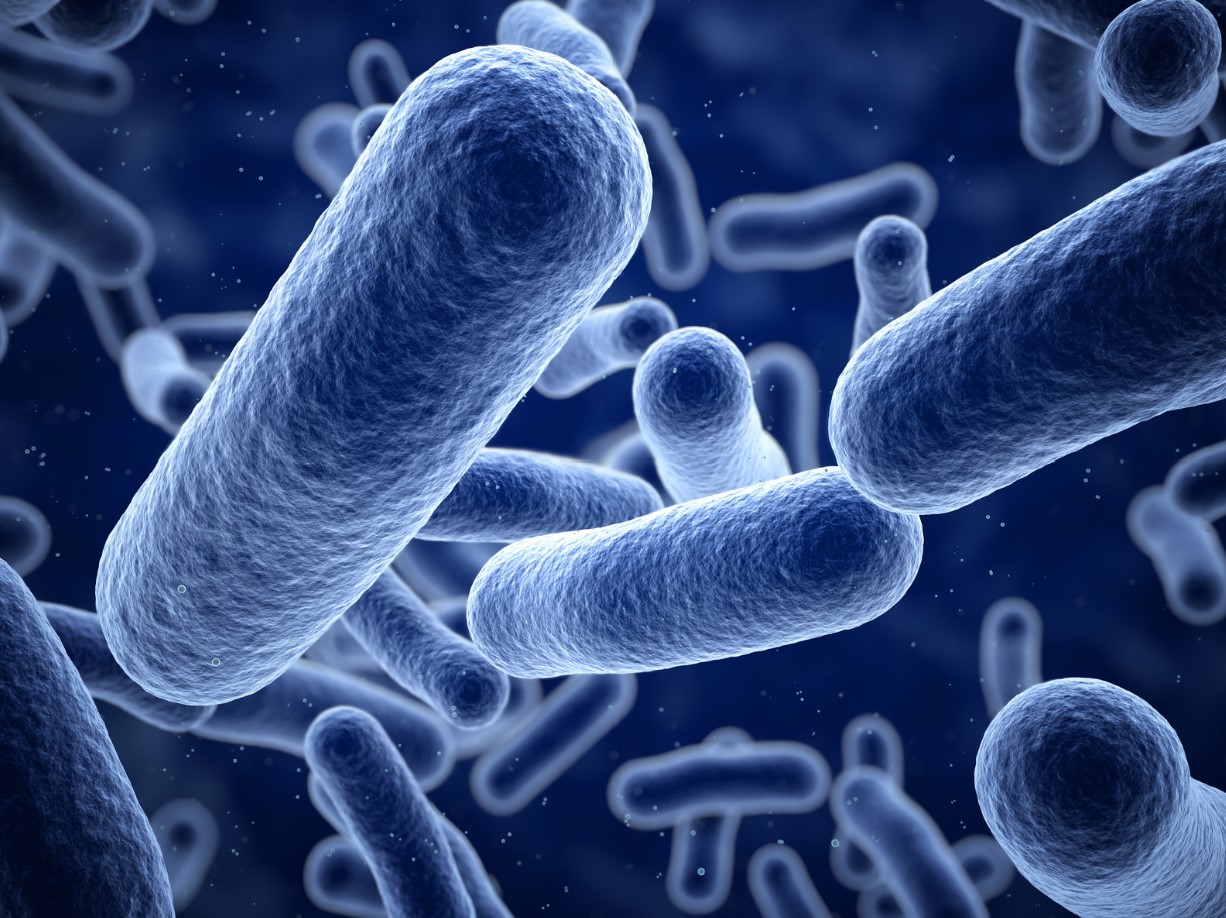 Vírus e bactérias Como a desinfeção pode reduzir sua propagação