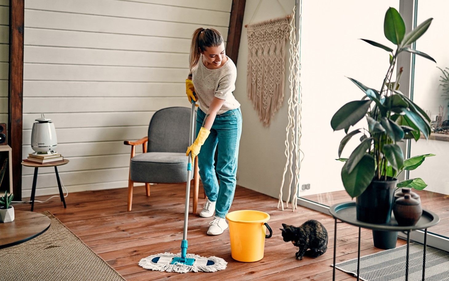 Guia de limpeza rápida para receber visitas inesperadas Guia de limpeza rápida para receber visitas inesperadas